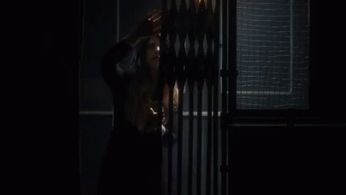 Gate Closing Doors Closed GIF