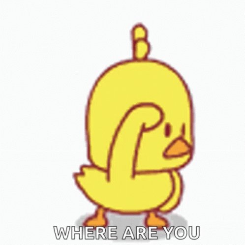 Where Are You Looking For Y...