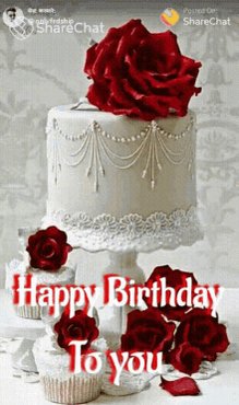  Happy Birthday Ashley Fink! You are awesome! Have fun! 