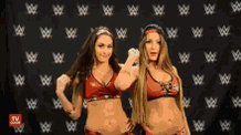 Happy Birthday to Nikki Bella and Brie Bella      