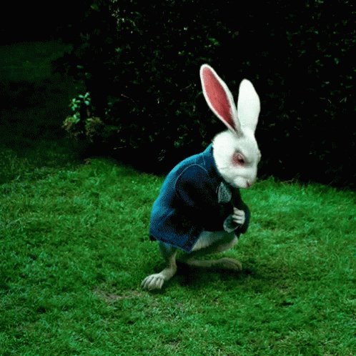 Waiting Rabbit GIF