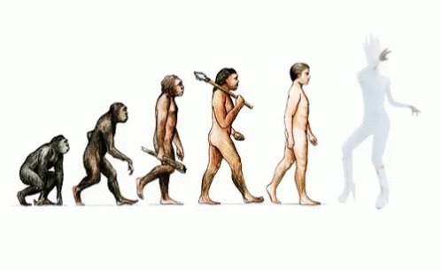 Evolution GIF