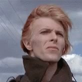 David Bowie GIF