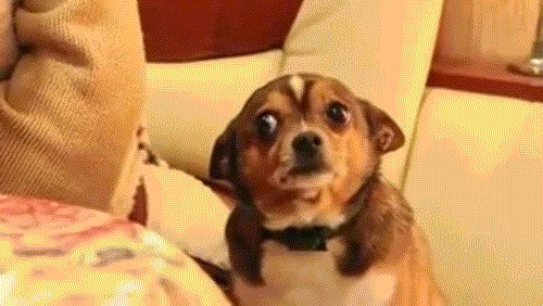 My ass... It's just so... flat https://t.co/ct04Mcr2GD