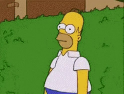 Oh No Homer GIF