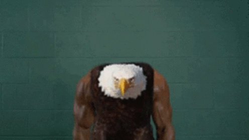 AHHHHHHHH WHY IS IT NOT A GOD DAMN EAGLE : r/harrypotterwu