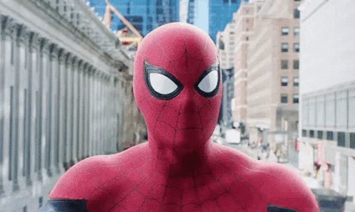 Spiderman What The Heck GIF