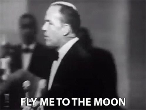 Fly Me To The Moon Take Me To The Moon GIF