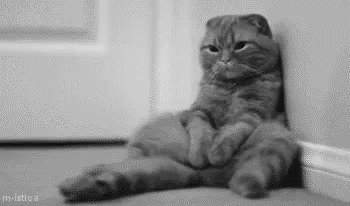 Tired Of Waiting GIF