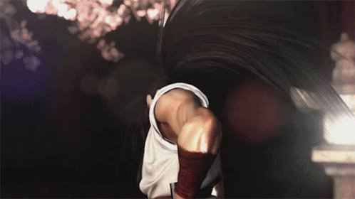 Hoahmaru Samurai Shodown GIF