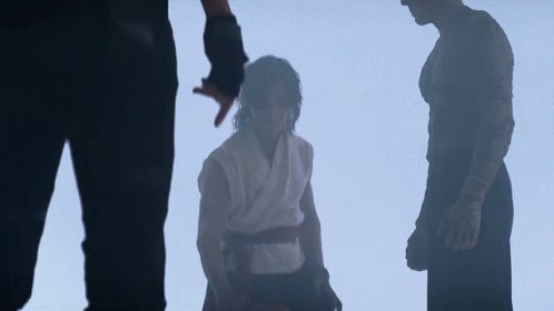 Ludi Lin Liu Kang GIF