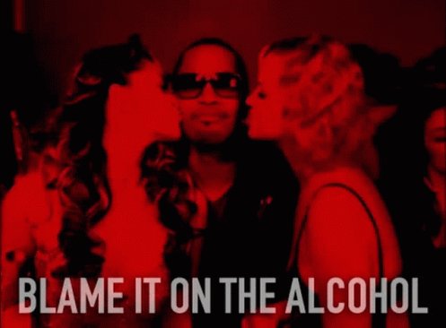 Blame Alcohol GIF