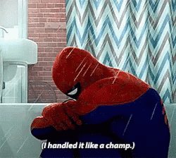 Into The Spider Verse Spiderman GIF