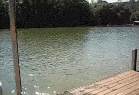 Jump Dock GIF