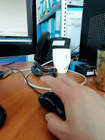 Mouse Souris GIF