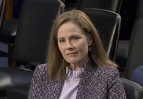 Senate Judiciary Committee Lol GIF by GIPHY News