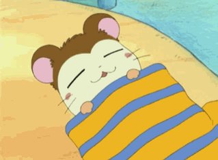 A.T.J on X: "RT @ToonamiNews: Snoozer is happy it is bedtime. Goodnight  all! (via: #Hamtaro) https://t.co/PRTS18lv2o" / X