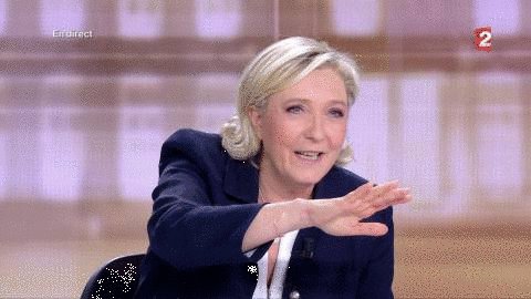 marine le pen wtf GIF by fr...