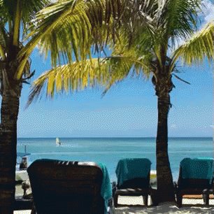 Île Maurice GIF