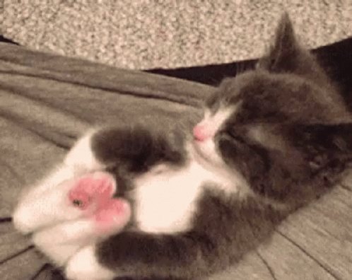 Yoga Toes GIF