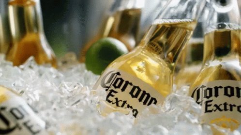 Corona Beer Ice Cold GIF