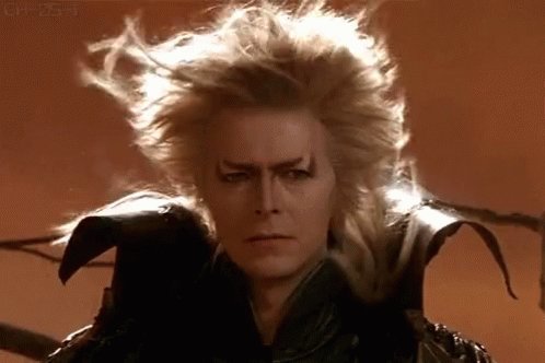 Bowie David Bowie GIF