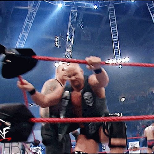 Happy Birthday
Stone Cold Steve Austin        