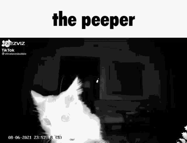 @SimonTheTwink https://t.co/sbFLupgmiI