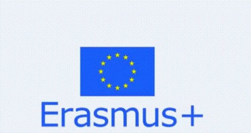 Erasmus Ieslaminilla GIF