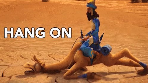 Hang On Camel GIF