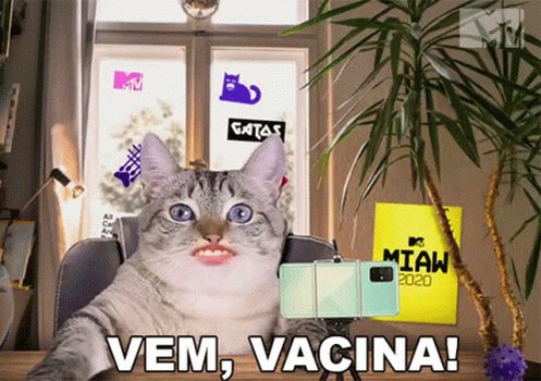 Vem Vacina Mtv Brasil GIF