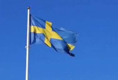 Sweden Svensk GIF