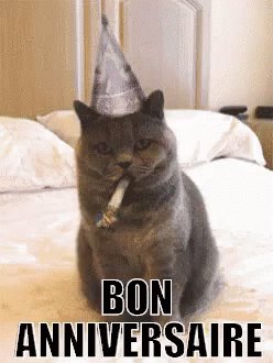 Bruno Bon Anniversaire K Melb12 T Co Zc2ctbf7mk Twitter