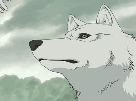 𝖙𝖊𝖗𝖆𝖉𝖎𝖆𝖒 Wolf S Rain Is One Of The Most Underrated Anime Of All Time I Grew Up With It And It S Story Is Still So Important To Me Rip Keiko