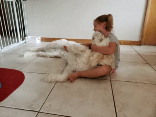 Kiss Kisses GIF