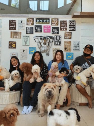 Dogs Family GIF