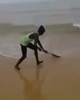 Irma Hurricane GIF