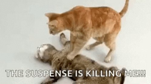 Dead Cat Cpr GIF