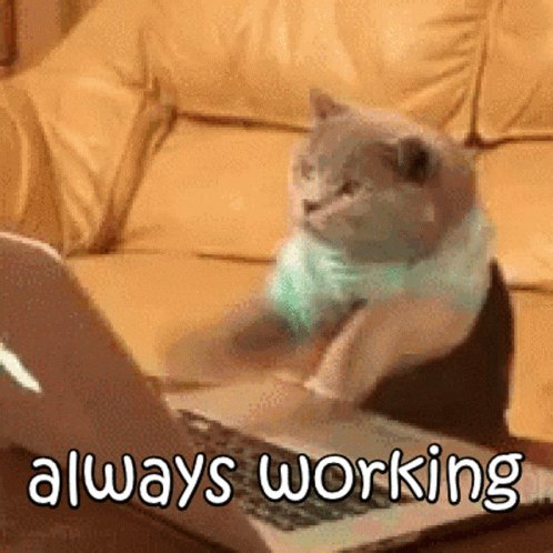 Always Working Funny Animals GIF