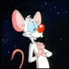 Pinky Pinky And The Brain GIF