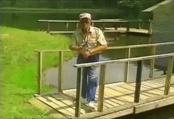 Lean Bridge GIF