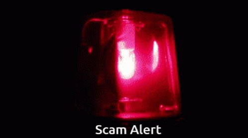 Scam Alert Alarm GIF