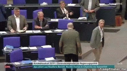 Alice Weidel Afd GIF