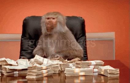 Baboon Money GIF