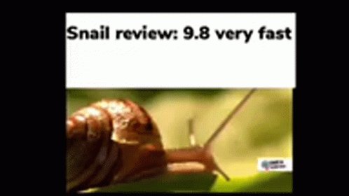 Snail Snail Review GIF