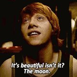Ron Weasley Moon GIF