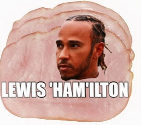 Lewis Hamilton GIF