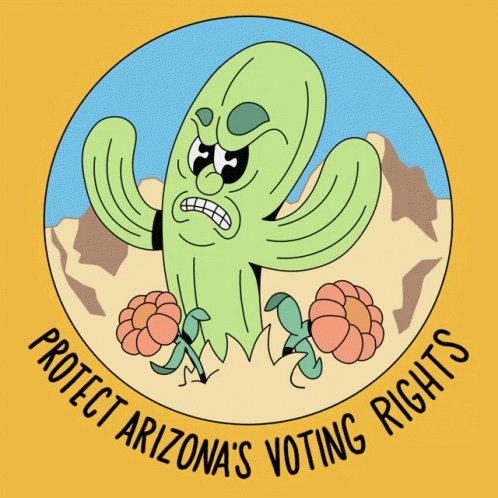 Arizona Voting Voting Rights In Arizona GIF