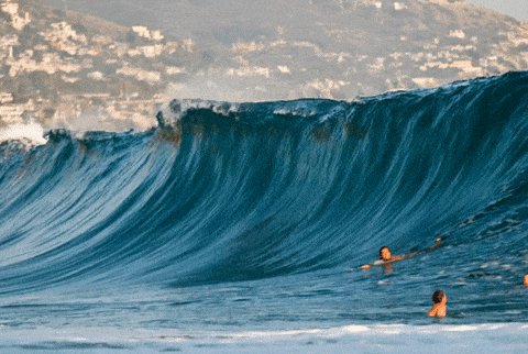 Laguna Beach Big Wave GIF b...