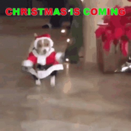 Chrismas Santa GIF